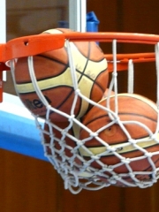   BGbasket.com