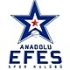 Анадолу Ефес