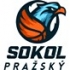Sokol Prazsky (U 16)