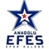 Anadolu Efes