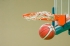     BGbasket.com      