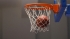     BGbasket.com      